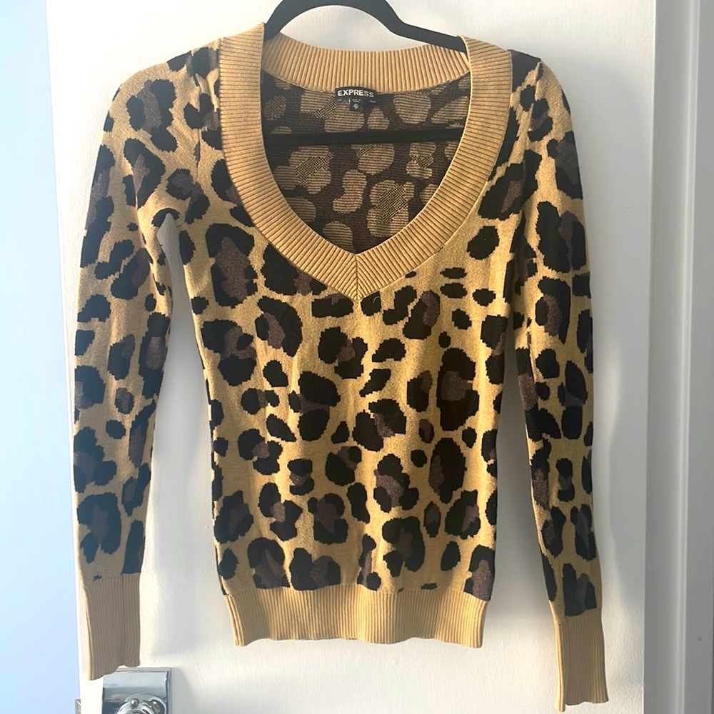 Express leopard print sweater